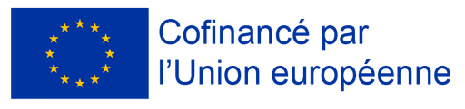 Koddex co-funded by the European Union